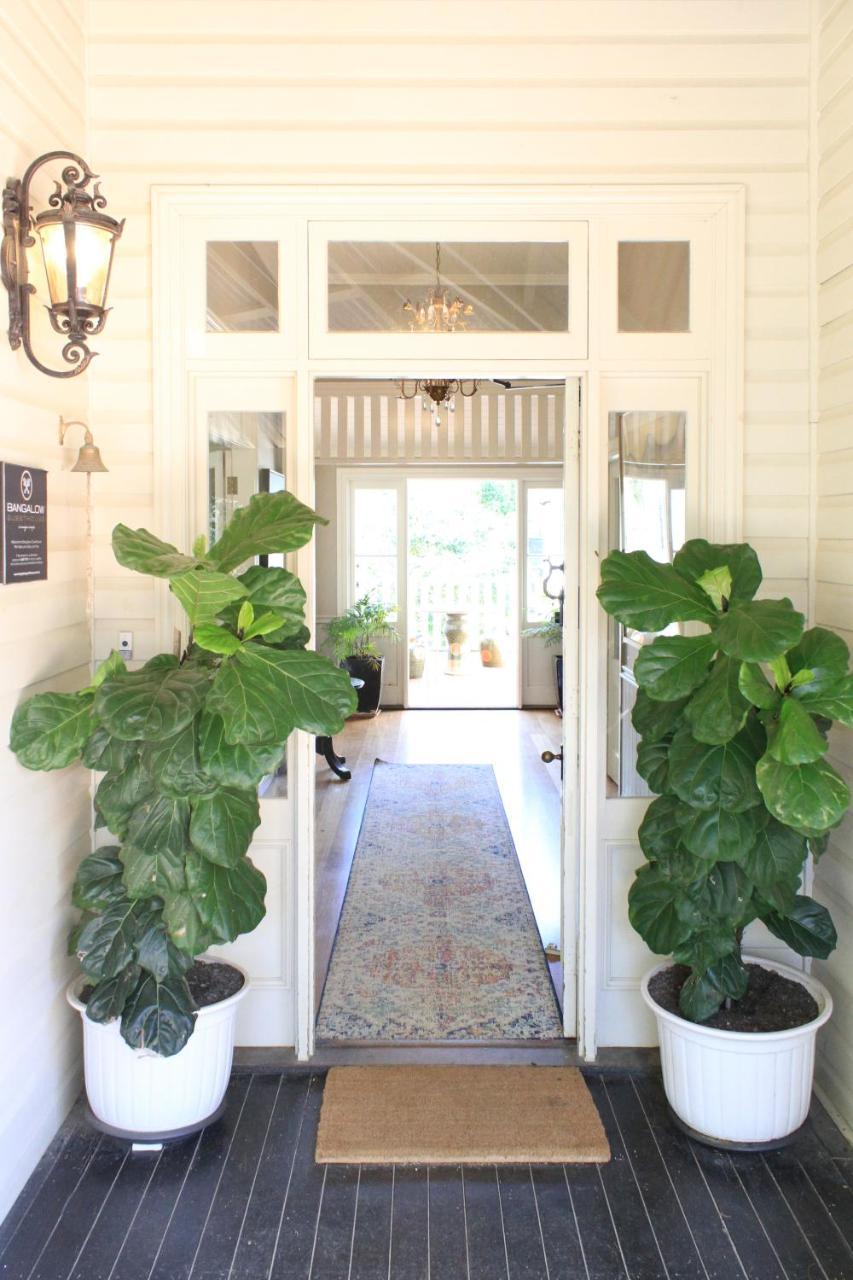 Bangalow Guesthouse Esterno foto